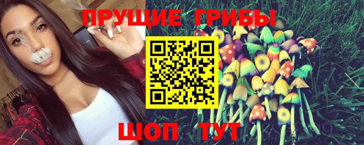 Псилоцибиновые грибы мухоморы  Вход с VPN  Гудермес  Псилоцибиновые грибы ЛСД 